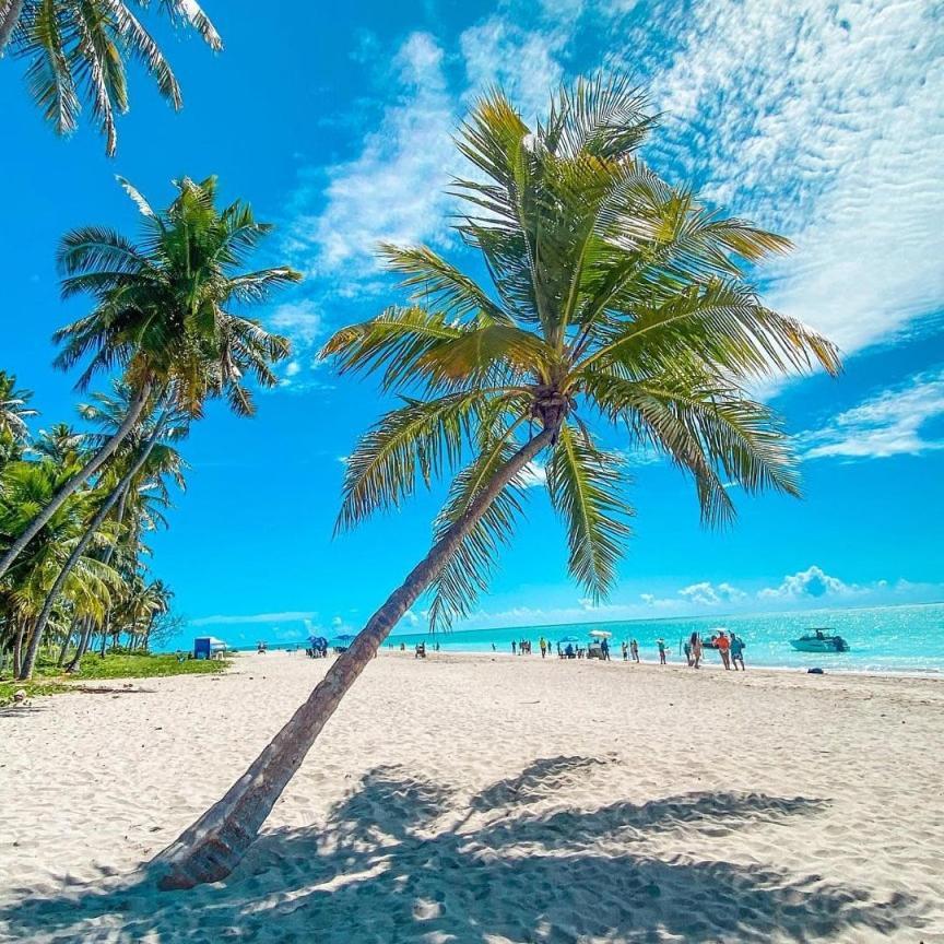 Apart Verdemar Premium Ponta Verde 3 Quartos A 120 M Do Mar E Prox A Feirinha Maceió エクステリア 写真
